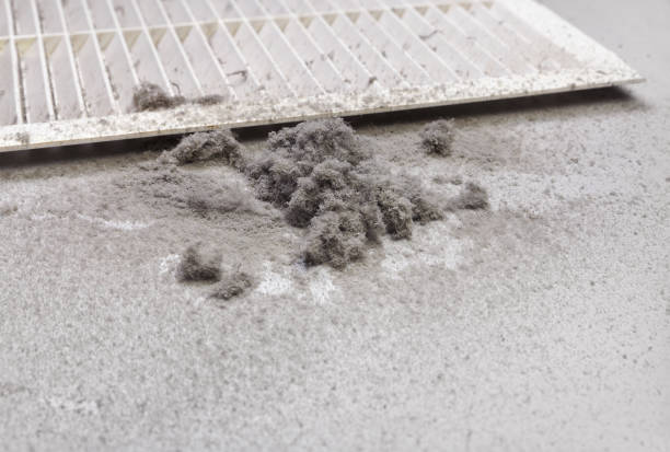 Best Air Duct Mold Removal  in Mccoll, SC