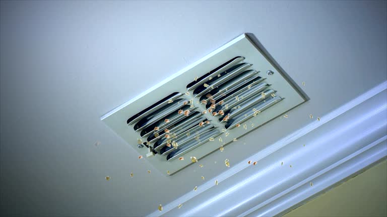 Best Affordable Duct Cleaning Services  in Mccoll, SC